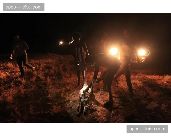 澳大利亚高空球威胁巨大 英式打法融合技术元素升级