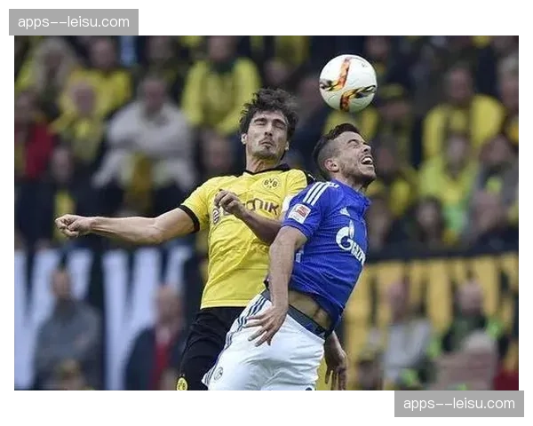 云达不莱梅伤病名单达11人 后防线面临严重人员危机